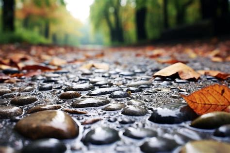 Rain Dreampathway (@raindreampathway) • Instagram photos .